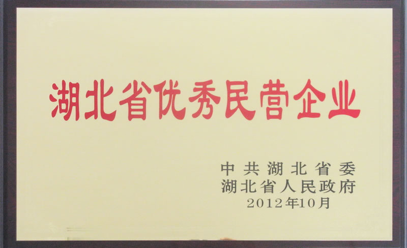 湖北省優(yōu)秀民營(yíng)企業(yè)