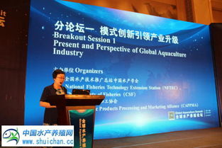 引領(lǐng)未來(lái)水產(chǎn)養(yǎng)殖 七大創(chuàng)新模式與技術(shù)推廣新路徑