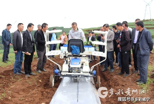 科技賦能農業 威寧高效農業生產技術軟件開發的探索與實踐